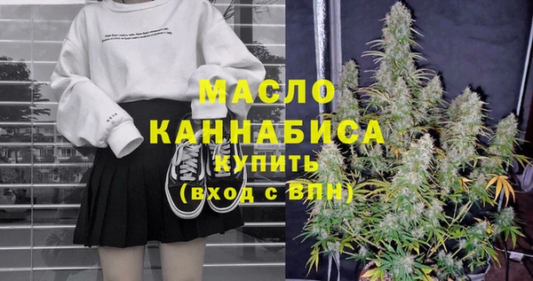 гашик Новозыбков