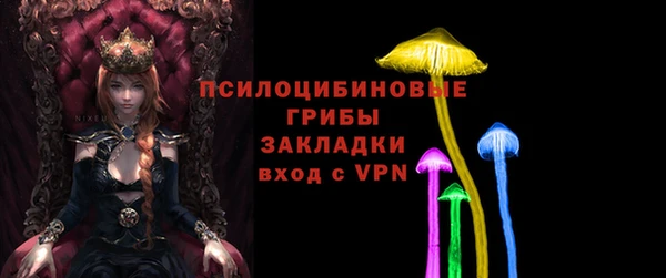 твердый Алексеевка