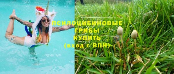 мяу мяу мука Алзамай