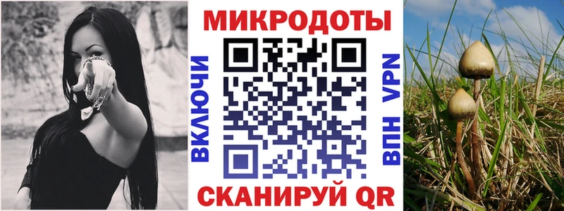 Галлюциногенные грибы Magic Shrooms  Невинномысск 